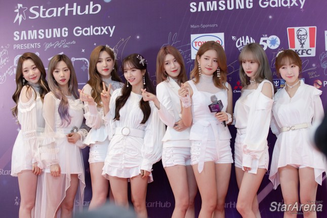 46375025012_950ae1914b_o